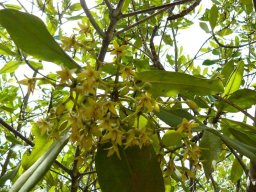 263871_10150259149029901_7646713_n